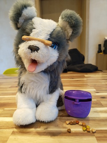 Hasbro furreal friends hund - friends,