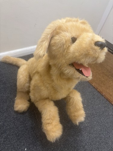 Furreal friends biscuit - biscuit, my