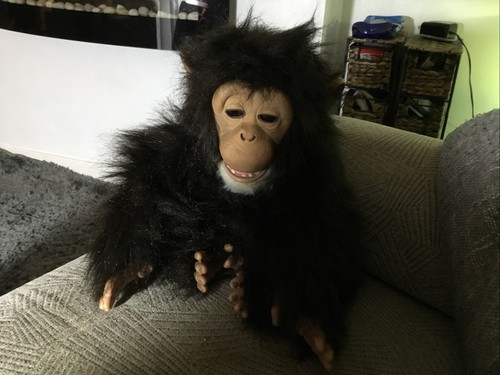 Furreal friends cuddle chimp - cuddle,
