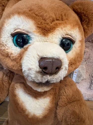 Hasbro furreal friends - hasbro, "cubby"