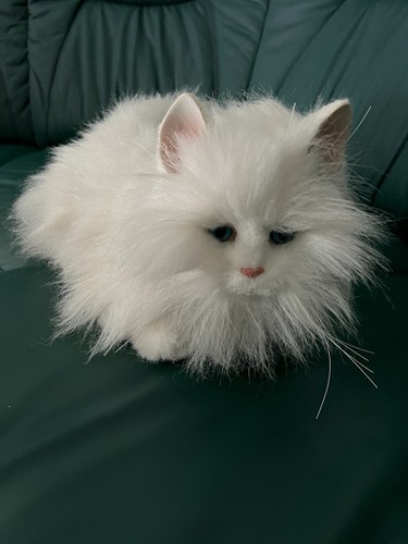 Furreal friends katze lulu - friends,
