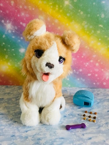 Selten hasbro furreal friends - selten!,