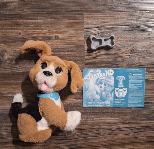 Hund sprechender - hund, bennie