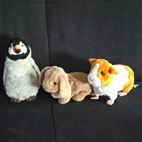 2810p 3er set - 3er-set, furreal
