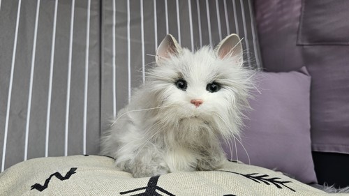 Furreal friends katze tiger - friends, katze,