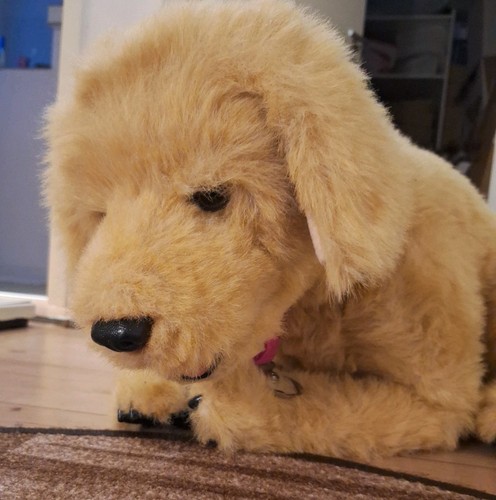 Grosser hasbro robo hund - grosser, robo-