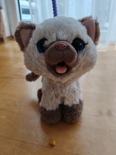 Furreal friends katze - furreal,