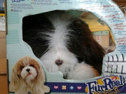Neu hasbro furreal friends - -neu-,